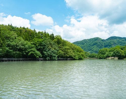 *【フィッシング】