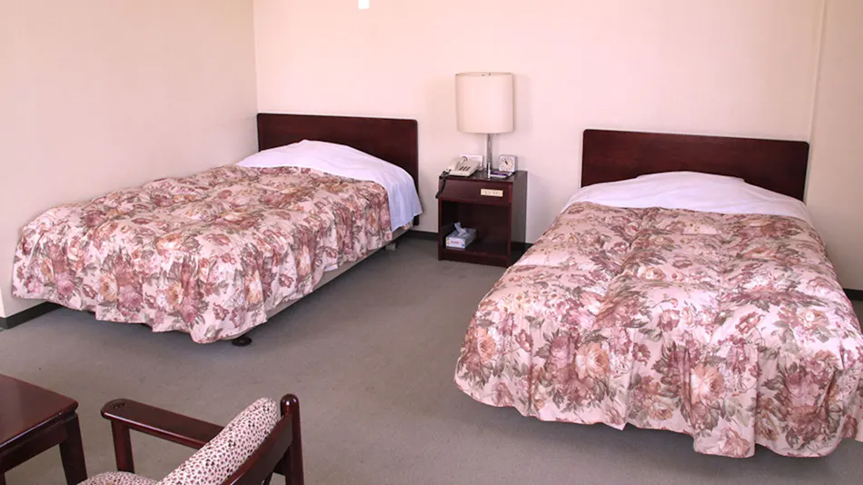 Business Hotel Green Plaza with Natural Hot Springs