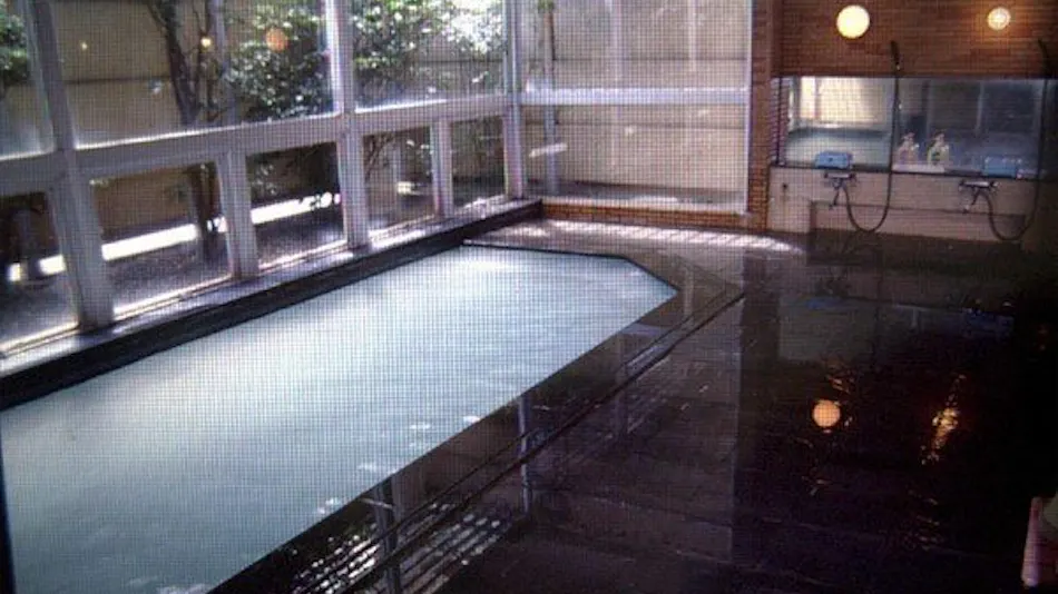 Business Hotel Green Plaza with Natural Hot Springs