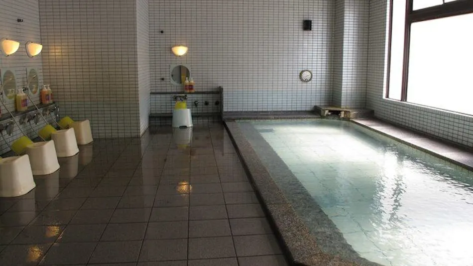 Natural Hot Spring Hotel Platon