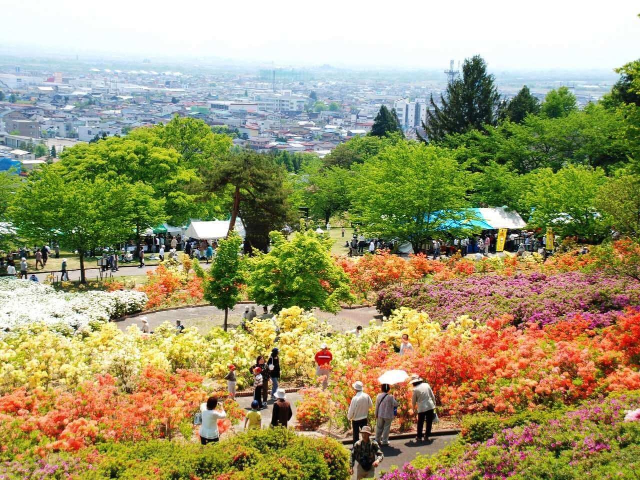 【สวนสึสึจิ ซางาเอะโคเอ็น】ขับรถจากที่พักประมาณ 8 นาที