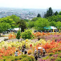 【สวนสึสึจิ ซางาเอะโคเอ็น】ขับรถจากที่พักประมาณ 8 นาที