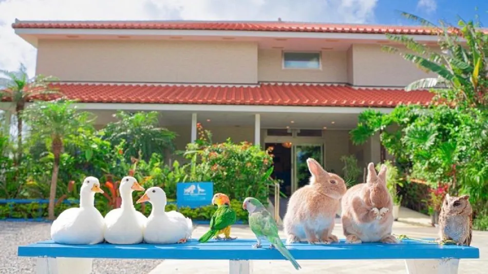 Little Mermaid Hotel Ishigaki Island
