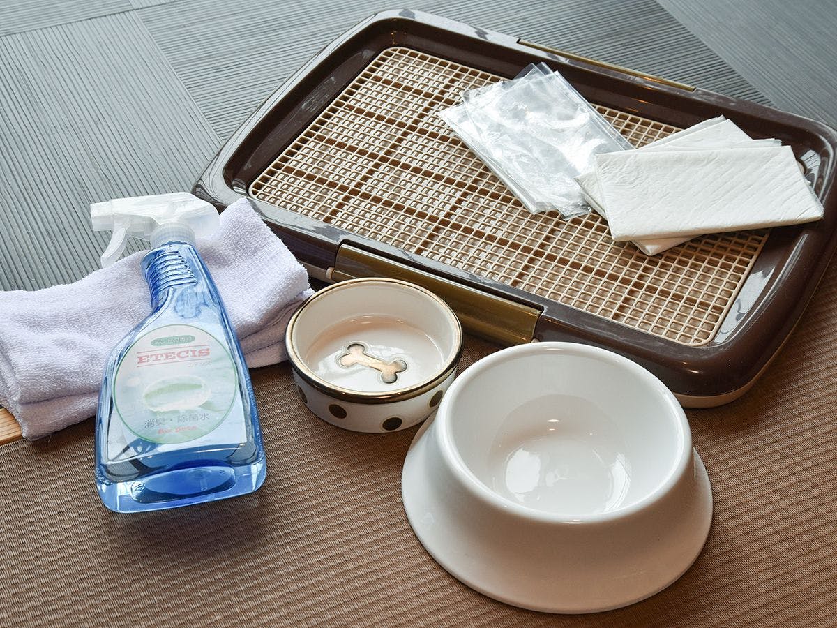 *【Fasilitas untuk hewan peliharaan】