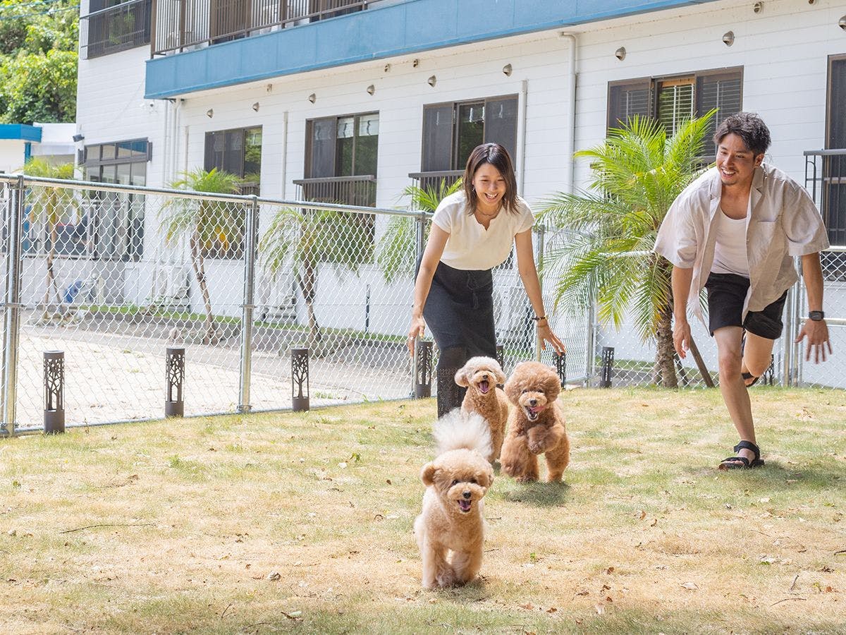 Pet Resort Brains Amakusa