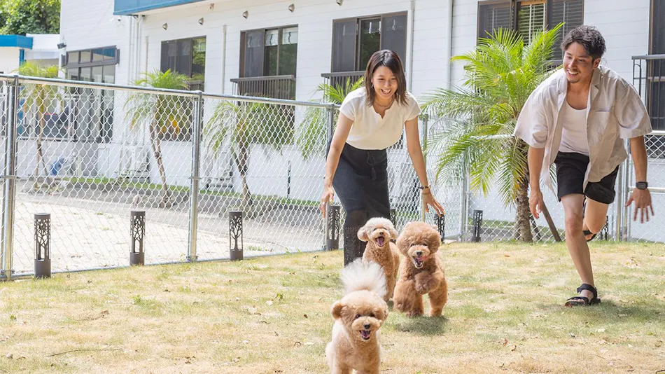 Pet Resort Brains Amakusa