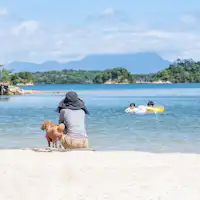 Pantai di depan tentu saja bisa untuk berenang.