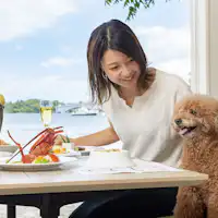 Anda dapat menikmati makanan bersama hewan peliharaan pada hari istimewa.