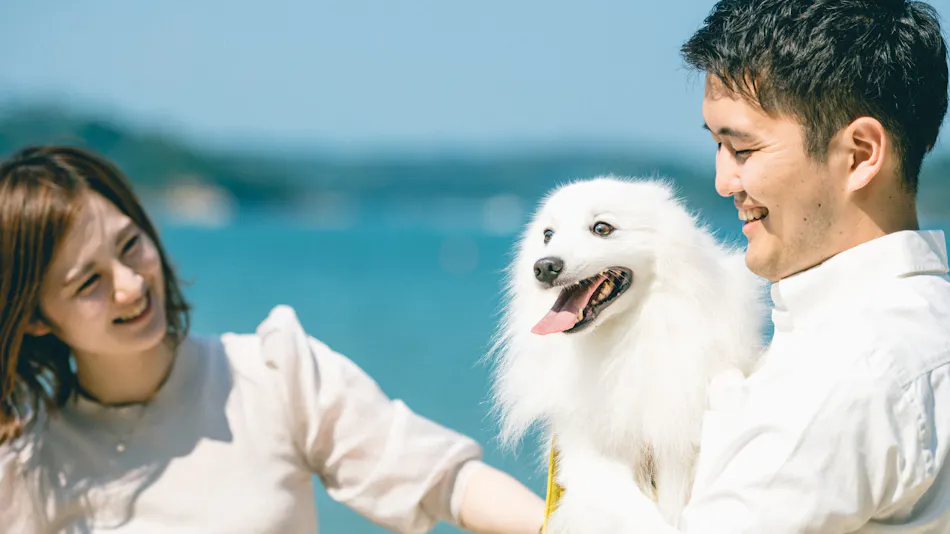 Pet Resort Brains Amakusa