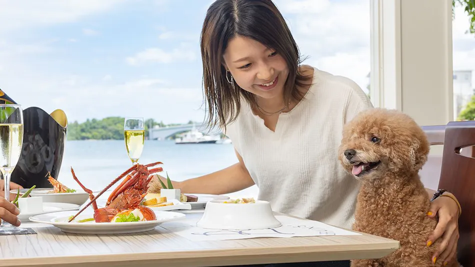 Pet Resort Brains Amakusa