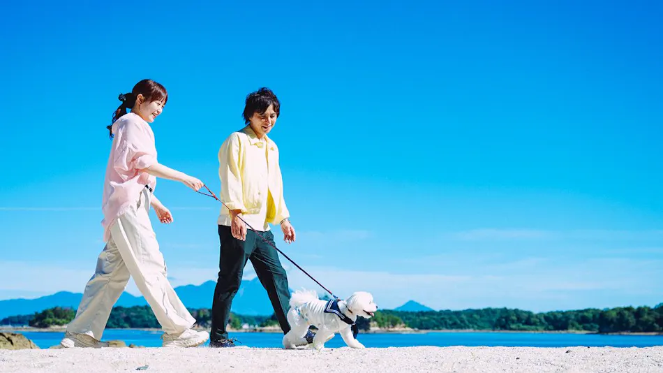 Pet Resort Brains Amakusa