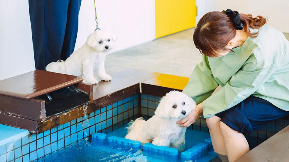 Pet Resort Brains Amakusa