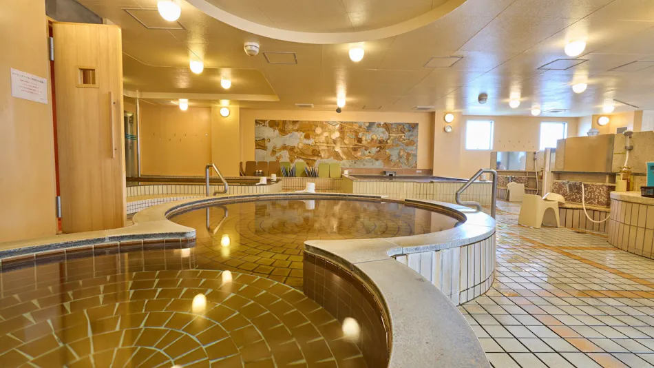 Miyazaki Daiichi Hotel <Men's Only Large Bath, Women's Only Stone Sauna Available>