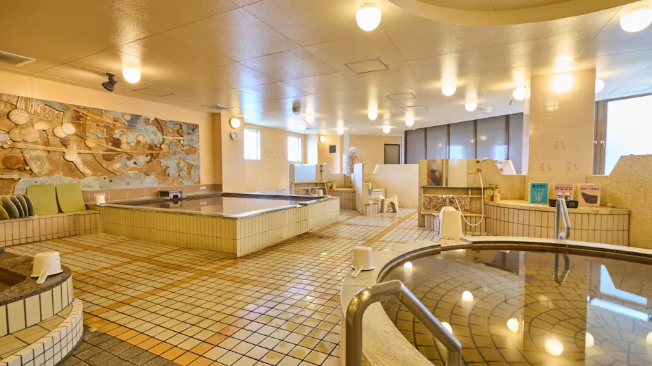 Miyazaki Daiichi Hotel <Men's Only Large Bath, Women's Only Stone Sauna Available>