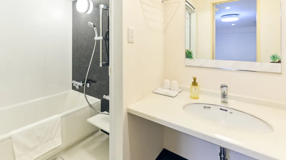 Miyazaki Daiichi Hotel <Men's Only Large Bath, Women's Only Stone Sauna Available>