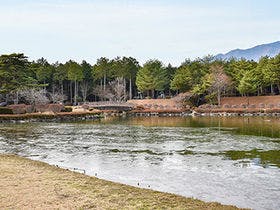 大芝高原温泉　癒しと健康の森　大芝荘