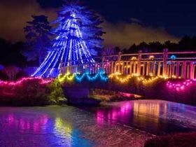 大芝高原温泉　癒しと健康の森　大芝荘