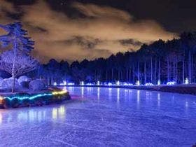 大芝高原温泉　癒しと健康の森　大芝荘