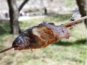 大芝高原温泉　癒しと健康の森　大芝荘