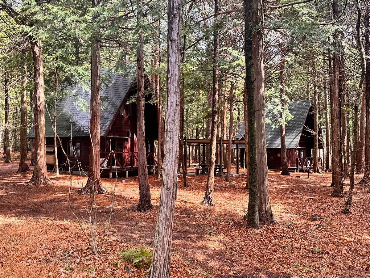 Oshiba Highland Onsen Roadside Station [Forest of Healing and Health] Shinshu Oshiba Highland