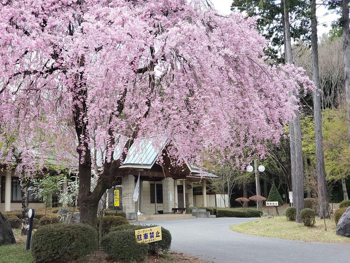 Oshiba Highland Onsen Roadside Station [Forest of Healing and Health] Shinshu Oshiba Highland