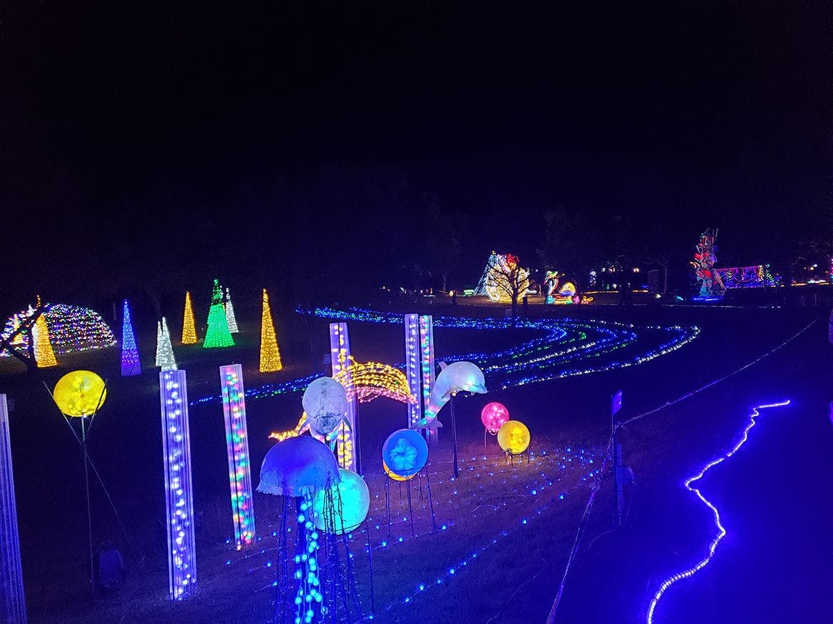 ◆【สวนสาธารณะโอชิบะ】ไฟประดับ