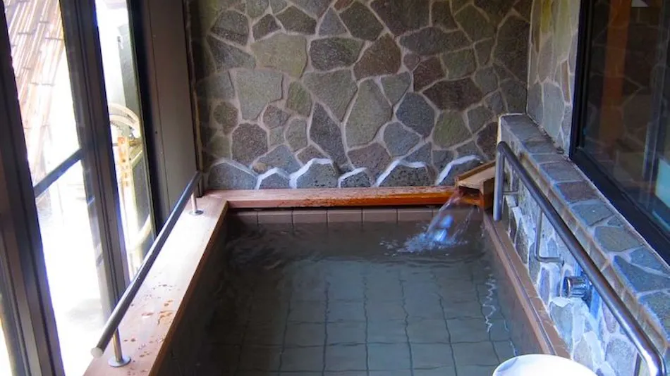 Ureshino Onsen Kaze no Yado Ryokan Sentyurou