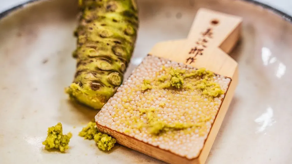 Ureshino Onsen Kaze no Yado Ryokan Sentyurou