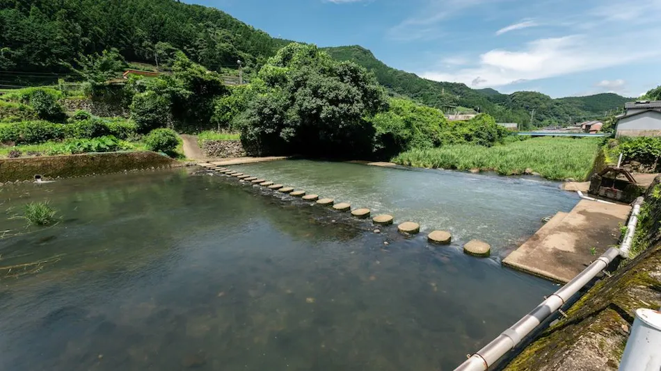 Ureshino Onsen Kaze no Yado Ryokan Sentyurou