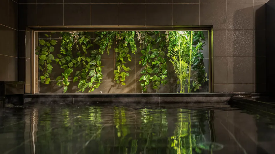 Natural Hot Spring Kaikyo no Yu Super Hotel Premier Shimonoseki