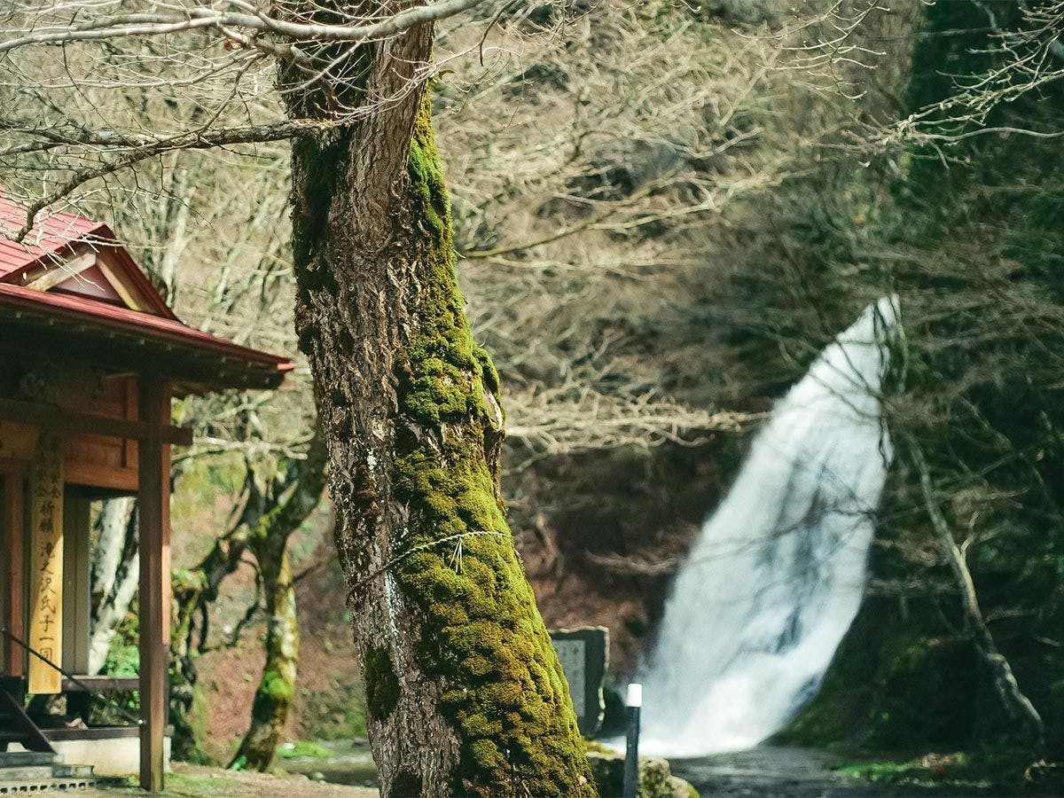 - ธรรมชาติโดยรอบ