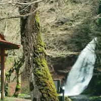 - ธรรมชาติโดยรอบ