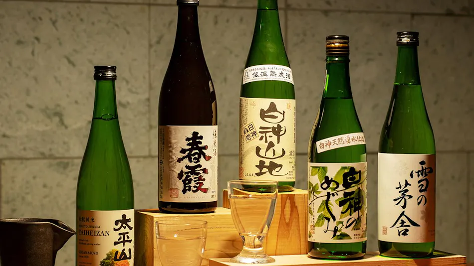 Shirakami Sanchi Hotel Yutoria Fujisato