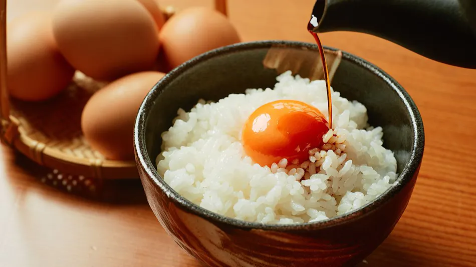 Shirakami Sanchi Hotel Yutoria Fujisato