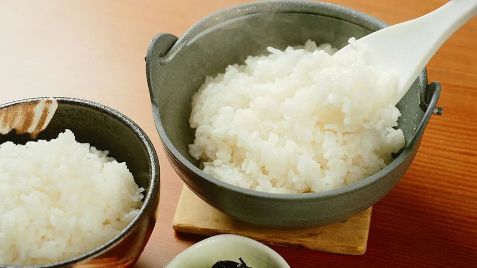 Shirakami Sanchi Hotel Yutoria Fujisato