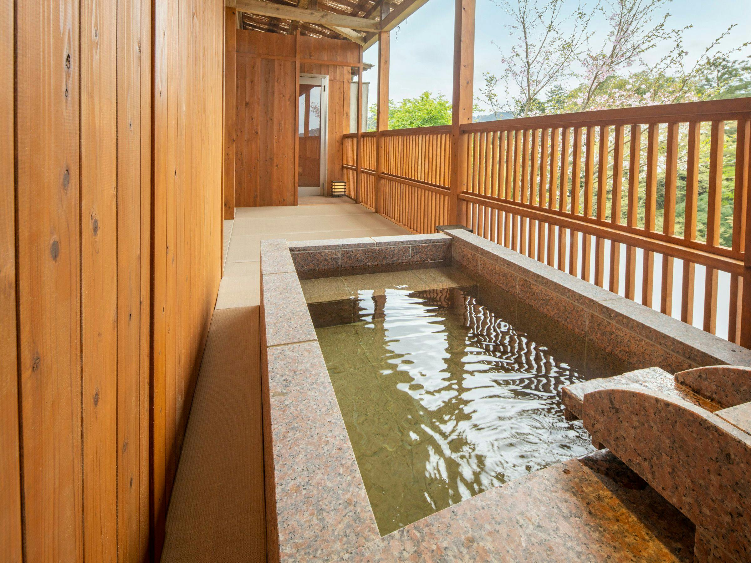 Hidden Hot Spring Inn Takimien