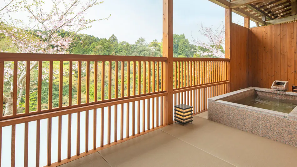 Hidden Hot Spring Inn Takimien