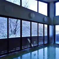 【1F重曹泉・室內浴池】窗外是雪景。