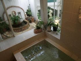 雲見温泉　新鮮な磯料理を楽しめる宿　かごや