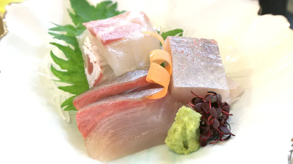 Hotel Takeshi Sanso
