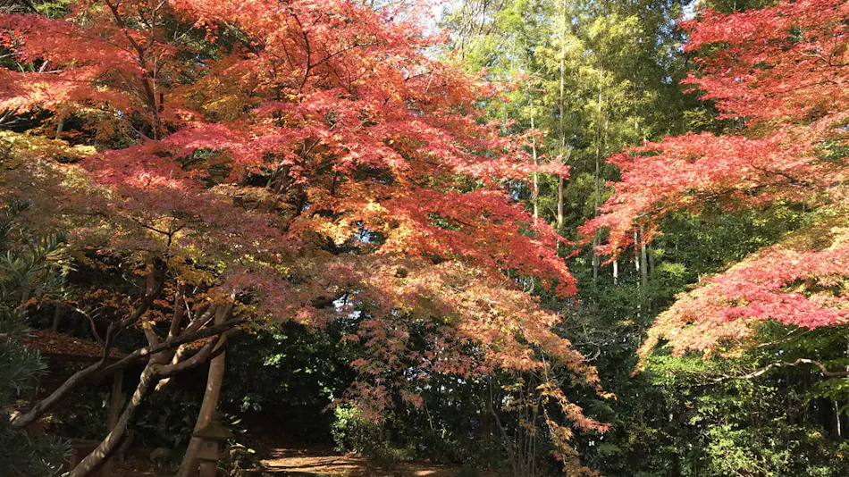 Hotel Takeshi Sanso