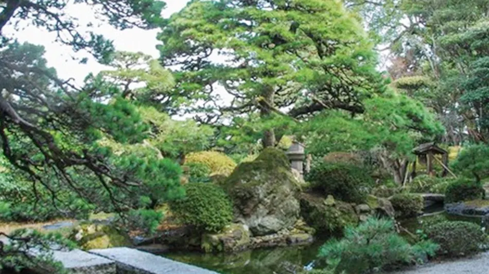 Hotel Takeshi Sanso