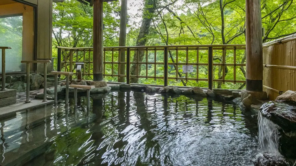 Yamanaka Onsen Yubatake no Yado Hanatsubaki