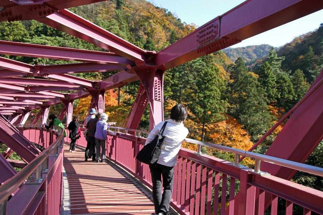 ภาพใบไม้เปลี่ยนสี "สะพานอะยะโทริ"