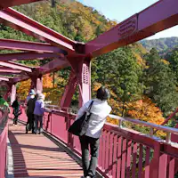 ภาพใบไม้เปลี่ยนสี "สะพานอะยะโทริ"