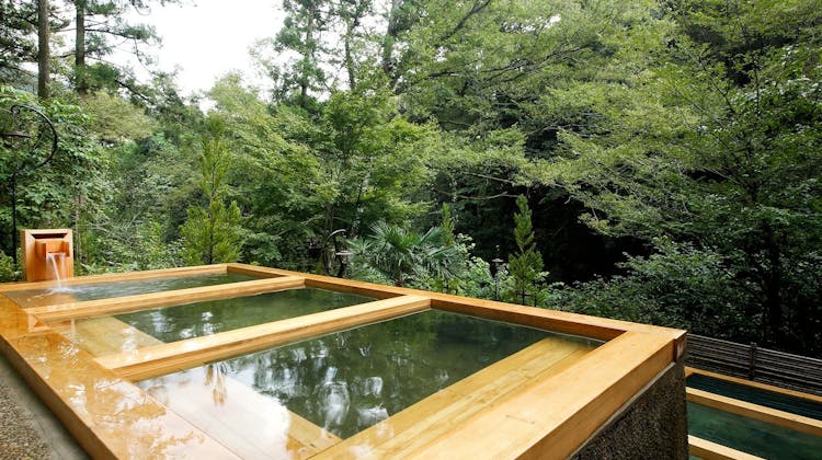 山中温泉 湯畑の宿 花つばき の宿泊プラン 予約 Yahoo トラベル 山中温泉 湯畑の宿 花つばき の宿泊プラン 予約 Yahoo トラベル