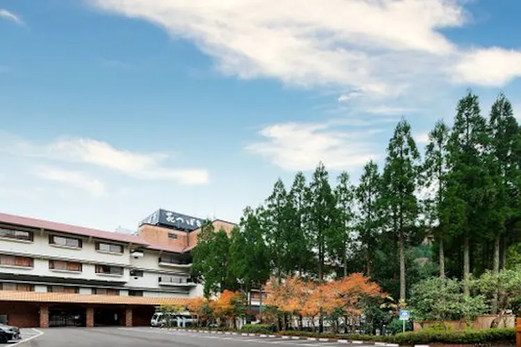 山中温泉 湯畑の宿 花つばき 宿泊予約なら Yahoo トラベル 山中温泉 湯畑の宿 花つばき 宿泊予約なら Yahoo トラベル
