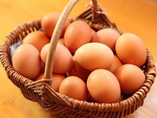 【อาหารเช้า】ใช้ไข่ไก่พันธุ์แท้ที่หายากในประเทศ.