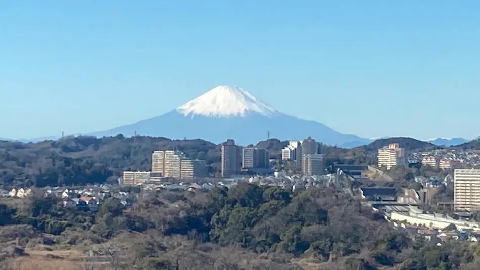 Yokohama Techno Tower Hotel