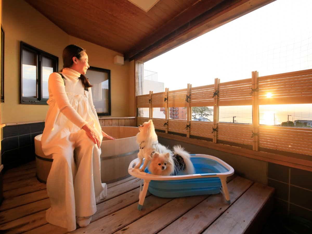 Yururi Nishi-Izu: A Hot Spring Inn Where You Can Stay with Your Beloved Dog